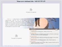 Tablet Screenshot of iwebs.cz